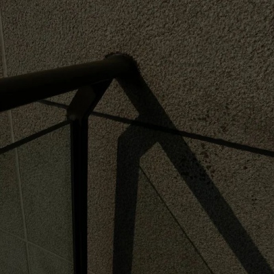 兽设物种设计灵感兽圈社群